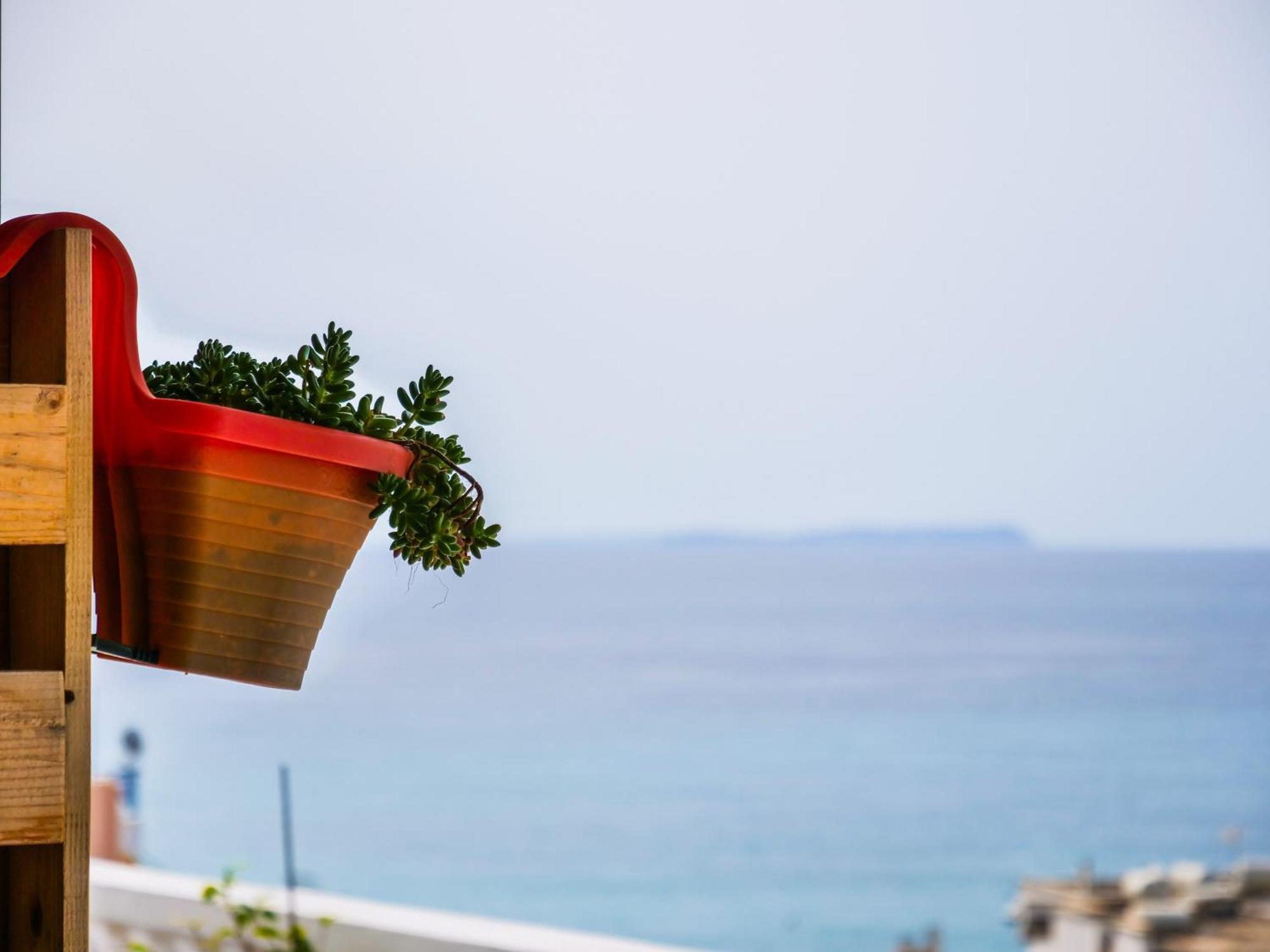 Apartment Sea Breeze